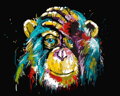 Malovanie podľa čísel Šimpanz M99046