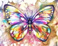 Malovanie podľa čísel Motýľ M991854