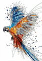 Malovanie podľa čísel Papagáj M991861