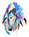 Malovanie podľa čísel Kôň Indiánov M991970