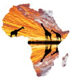 Malovanie podľa čísel Africký kontinent M992182