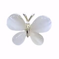 Brošňa do klopy Motýlik 35429