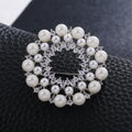 Brošňa Pearls 312065 Silver