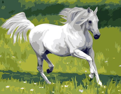 Malovanie podľa čísel Biely kôň M1285