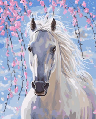 Malovanie podľa čísel Biely kôň M991642