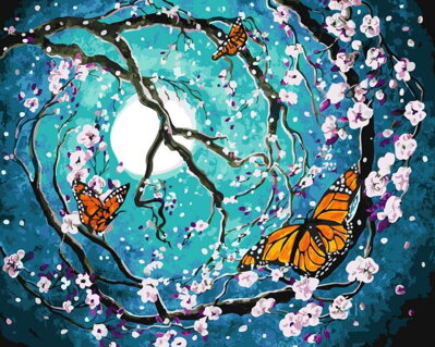 Malovanie podľa čísel Nočné motýle M992757