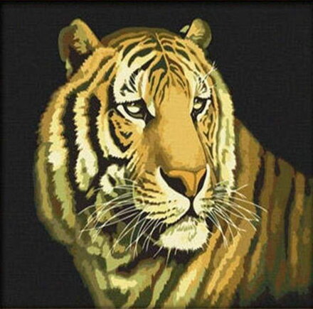 Malovanie podľa čísel Tiger M9578