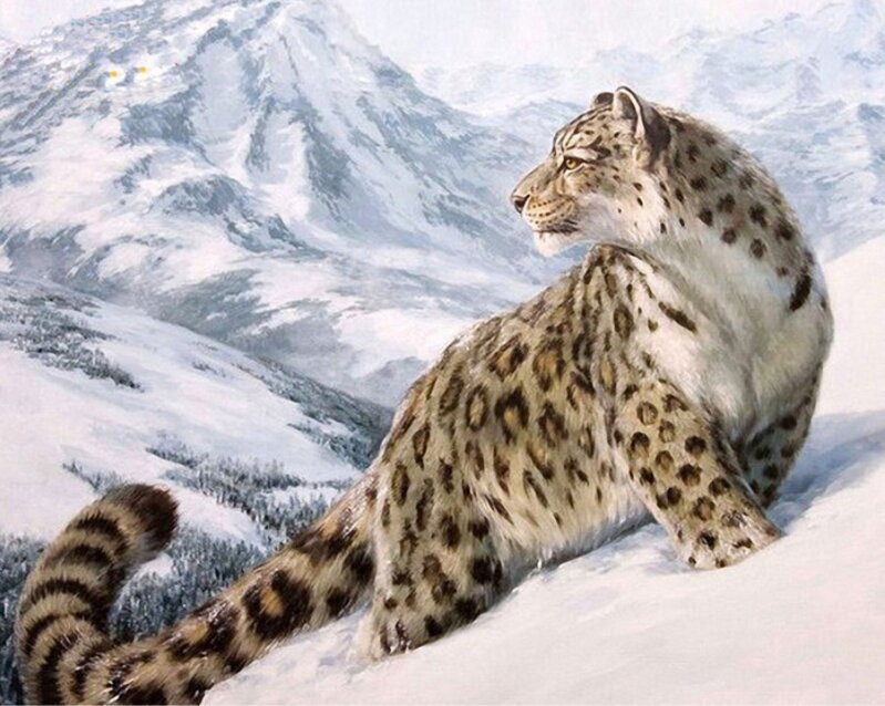 Malovanie podľa čísel Snežný leopard M1061 Malovanie podľa čísel Snežný leopard M1061
