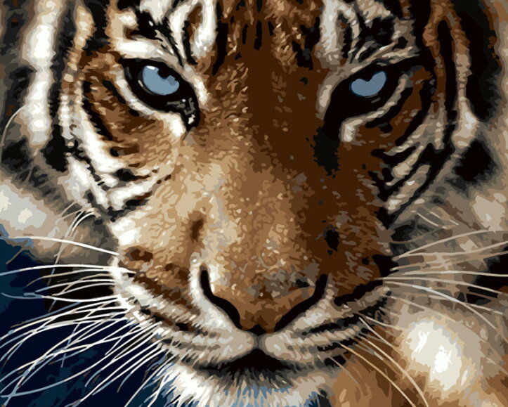 Malovanie podľa čísel Tiger M1373