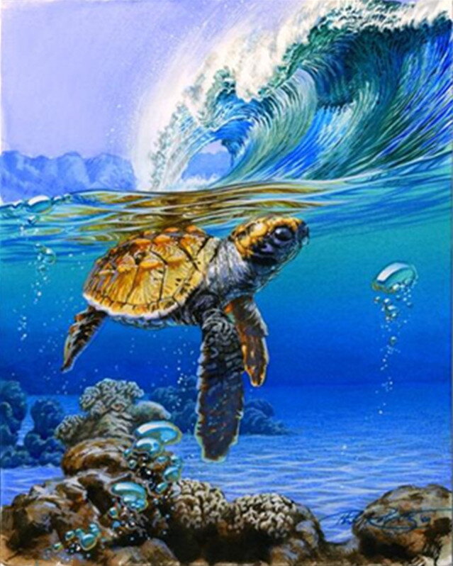 Malovanie podľa čísel Morská korytnačka M991468